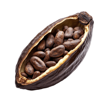 finest chocolate